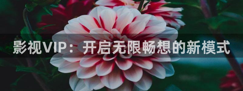 光棍影院韩国电影