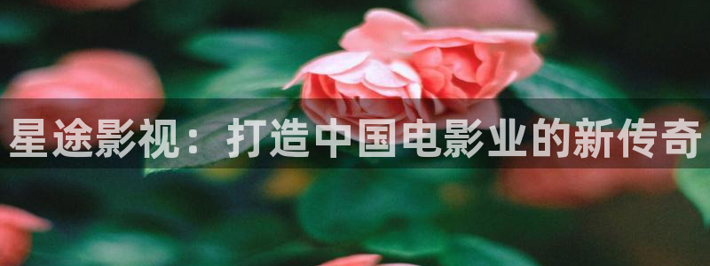 神马影院光棍推荐：星途影视：打造中国电影业的新传奇