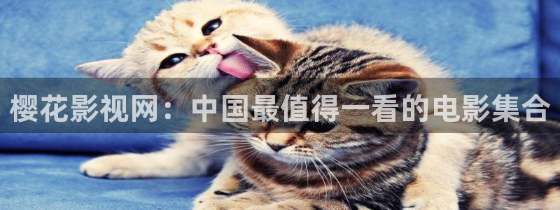 光棍影院福利篇：樱花影视网：中国最值得一看的电影集合