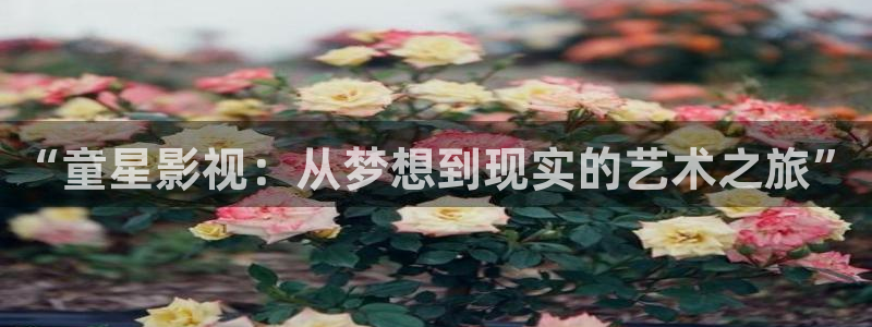 光棍电影光棍电影院：“童星影视：从梦想到现实的艺术之旅”