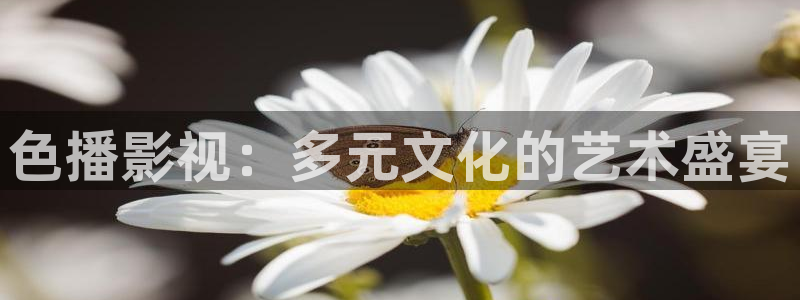 光棍影院1234：色播影视：多元文化的艺术盛宴