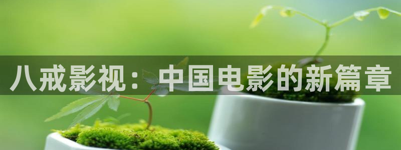 神马电影院光棍电影网：八戒影视：中国电影的新篇章