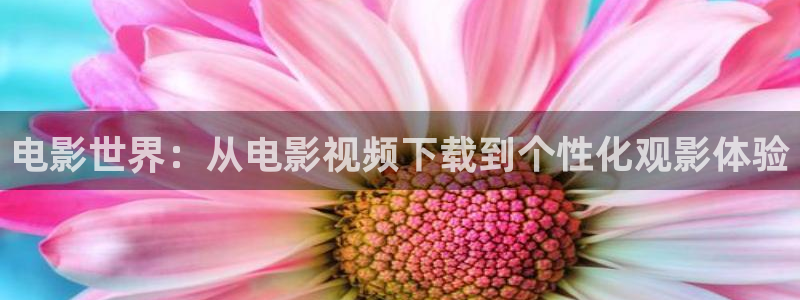 免费光棍电影院：电影世界：从电影视频下载到个性化观影体验