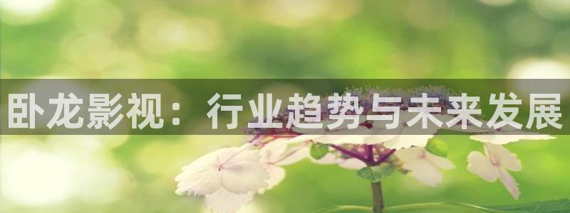 光棍影院理伦片