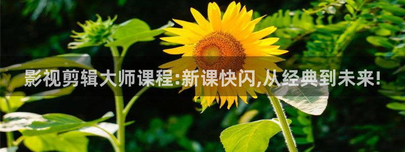 光棍影院手机版免费观看：影视剪辑大师课程:新课快闪,从经典到未来!