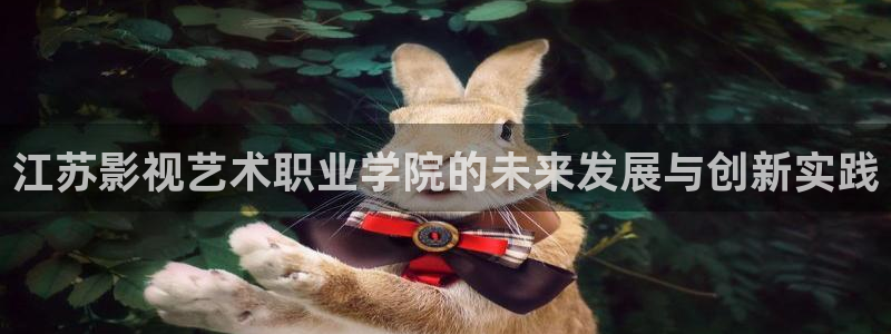 光棍影院yyyyyyy：江苏影视艺术职业学院的未来发展与创新实践