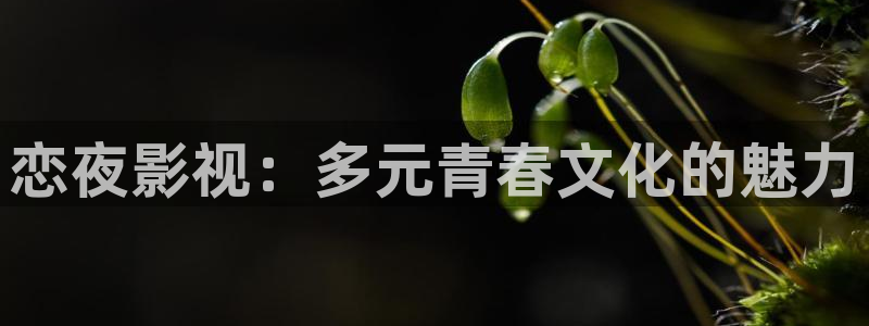 光棍影院苹果