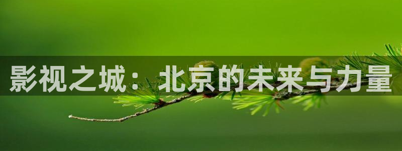 y1111111111光棍影院：影视之城：北京的未来与力量