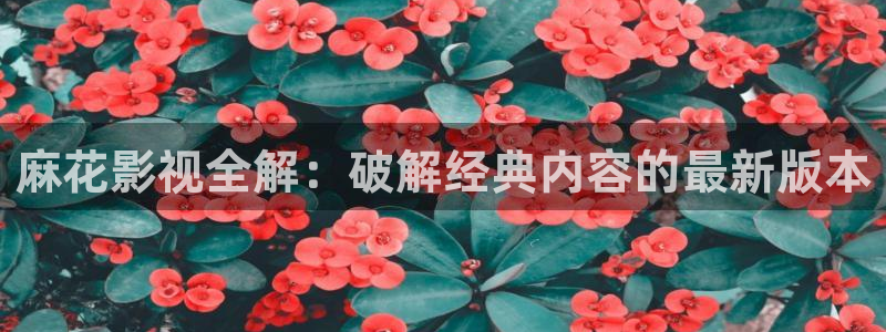 午夜影院光棍影院：麻花影视全解：破解经典内容的最新版本