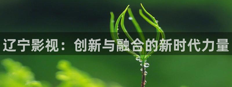 2024光棍影院：辽宁影视：创新与融合的新时代力量