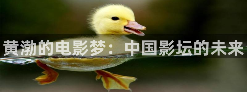 光棍神马影院在线观看：黄渤的电影梦：中国影坛的未来