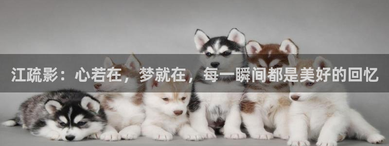 光棍影院夏：江疏影：心若在，梦就在，每一瞬间都是美好的回忆