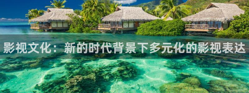 2024光棍影院：影视文化：新的时代背景下多元化的影视表达